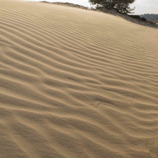 Wekeromse zand nog zonder voetstappen